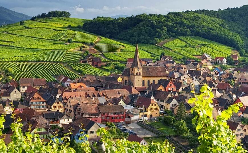 Discover the Wines of Alsace