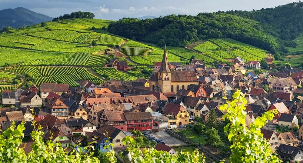 Discover the Wines of Alsace